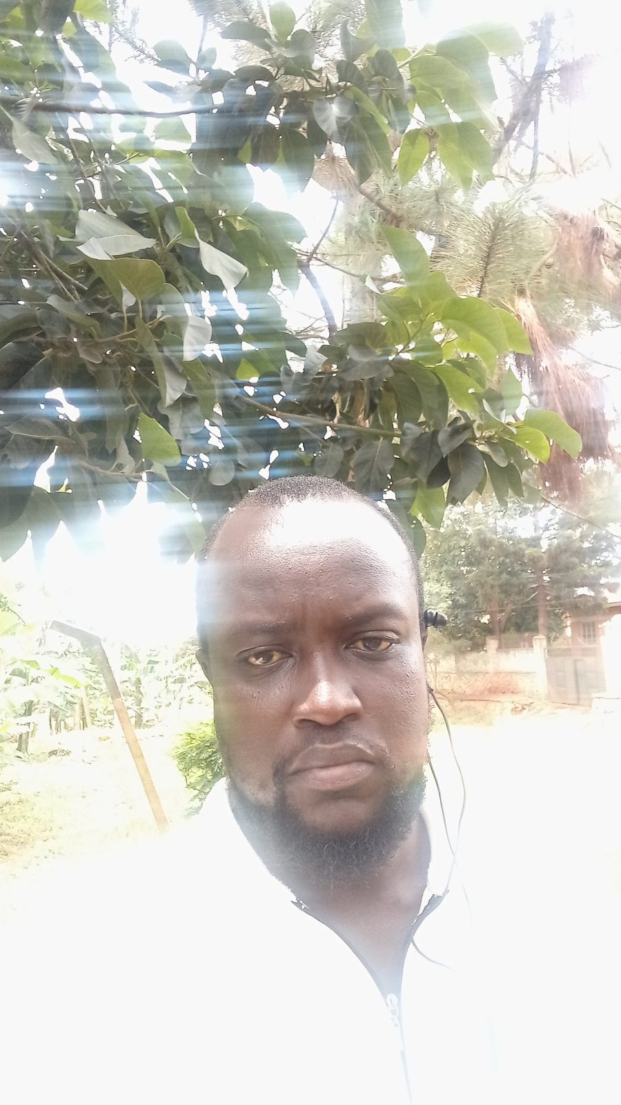 Andrew @andrew-sekitto